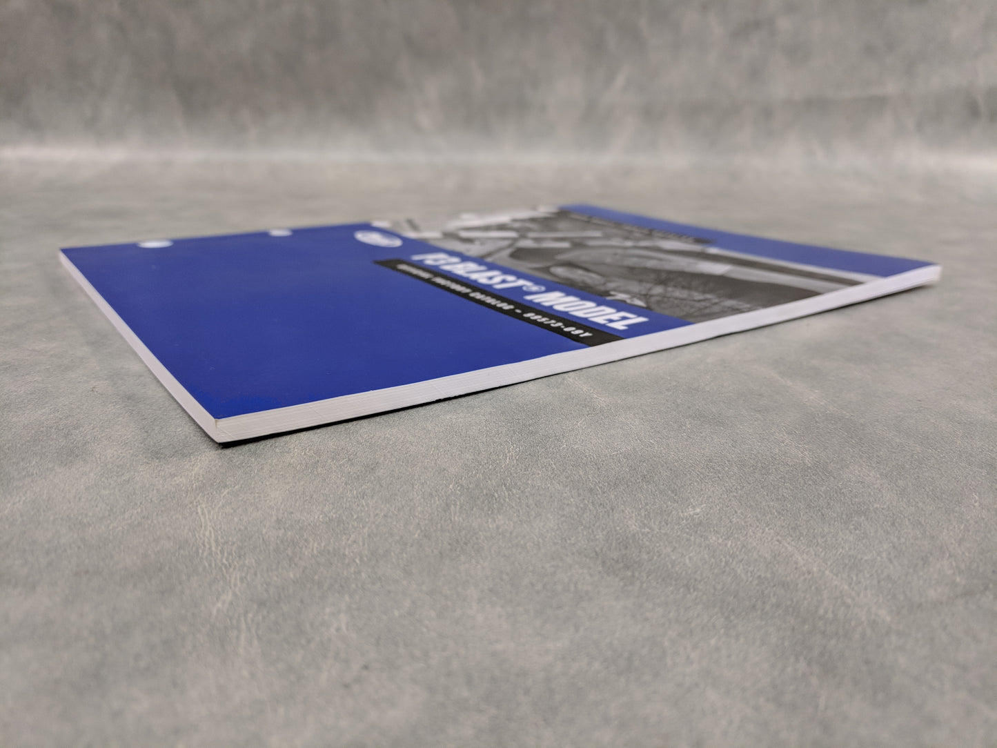 Buell P3 Blast Model - Official Factory Parts Catalog - 2009