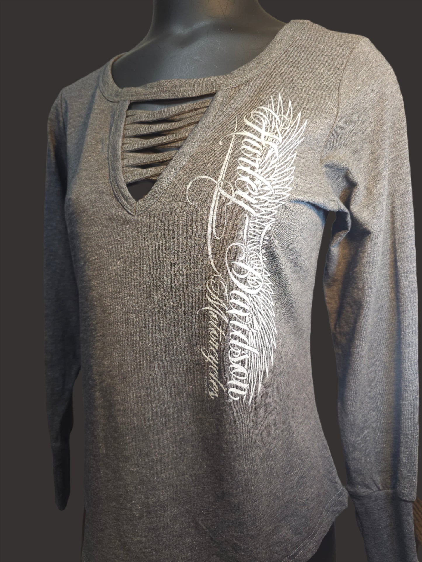 Women's Gray Long Sleeve "HD Steep"