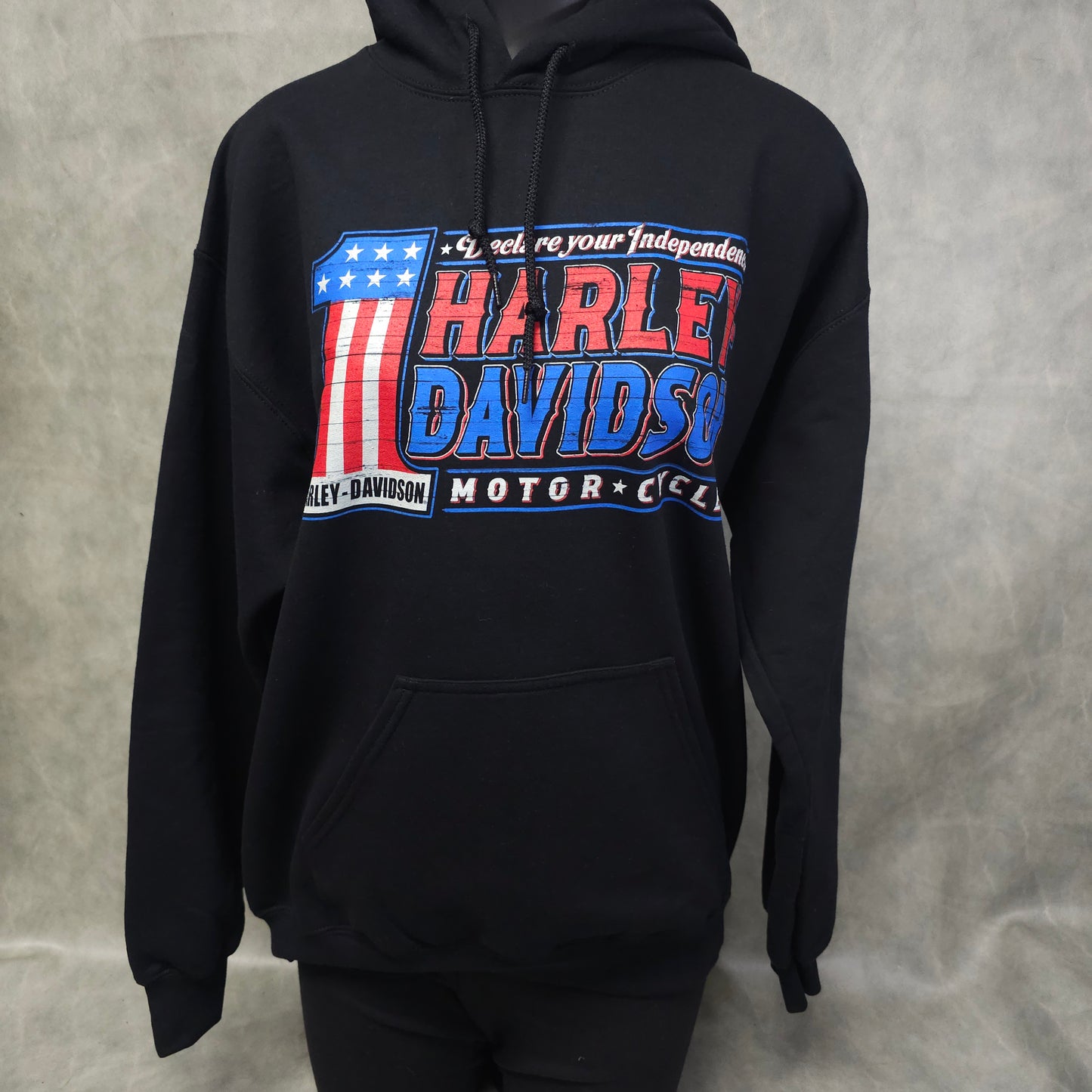 Men's Pullover Hoodie "HD Oath"