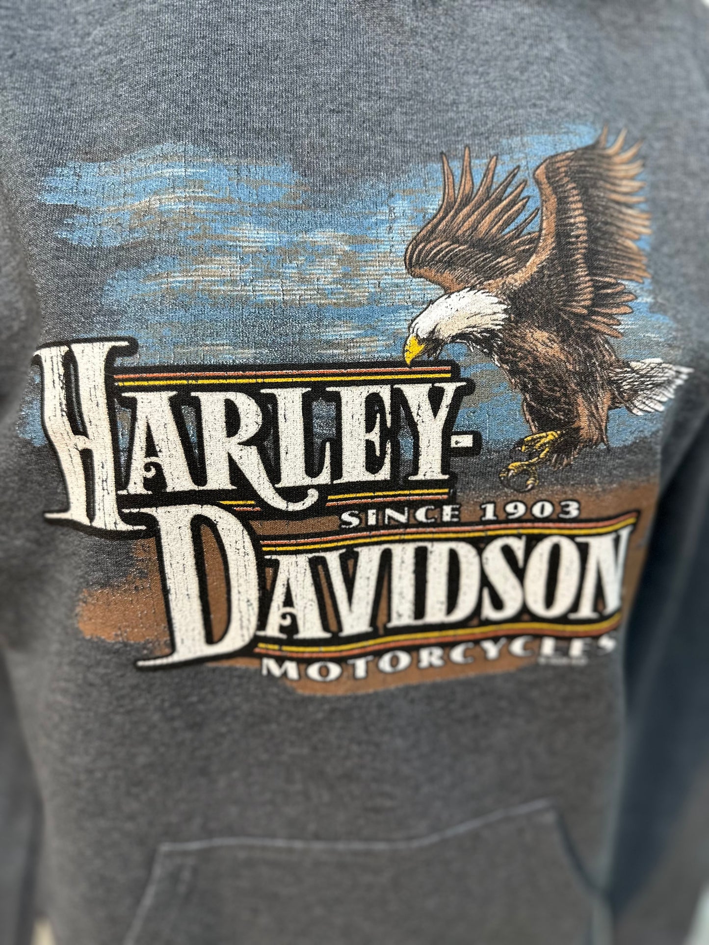 Women's Harley-Davidson Grey Pullover Hoodie "Facing Freedom"