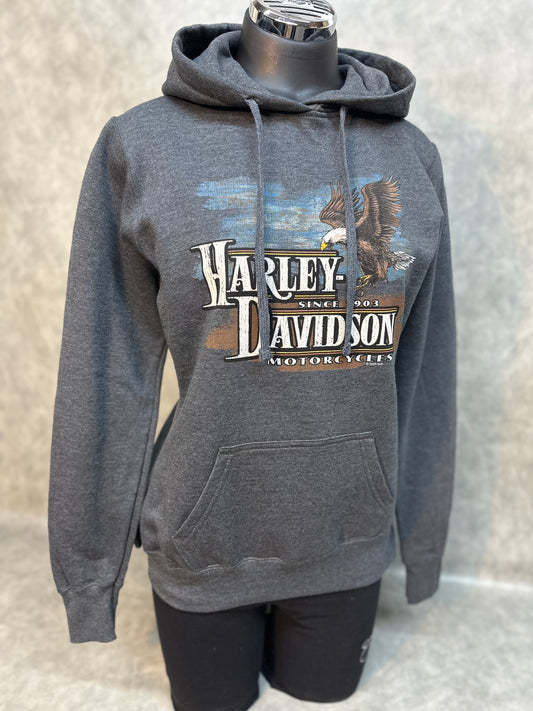 Women's Harley-Davidson Grey Pullover Hoodie "Facing Freedom"
