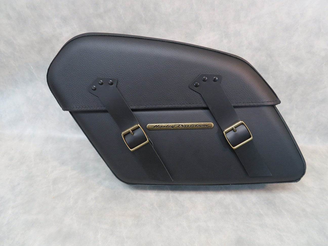 Hard Leather Saddlebags