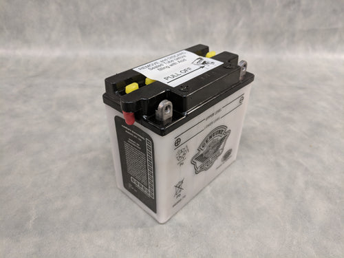 Original Equipment Kickstart 12V Battery