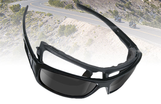 Wiley X Performance Eyewear - H-D Rage-X
